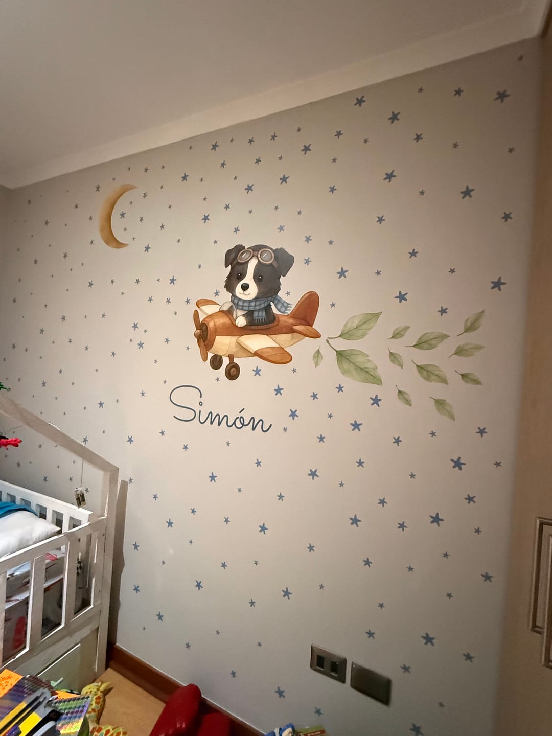 Customer photo review of Perrito aviador (Border Collie)