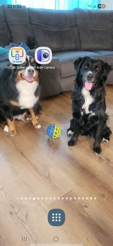 Customer photo review of Horizon Taiga - Nourriture pour chien économique 35 lbs