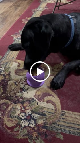 Customer video review of Freezball - Durable Fillable Dog Chew Bone