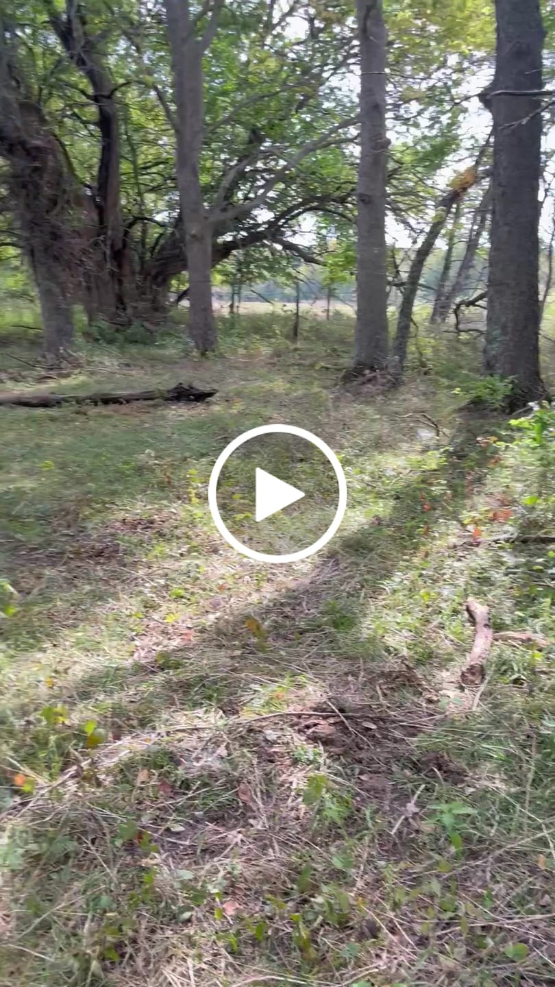 Customer video review of Rhino 100 Realtree Edge 5-Hub Hunting Blind