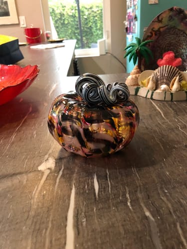 Customer photo review of Trick or Sweet Squat Pumpkin
