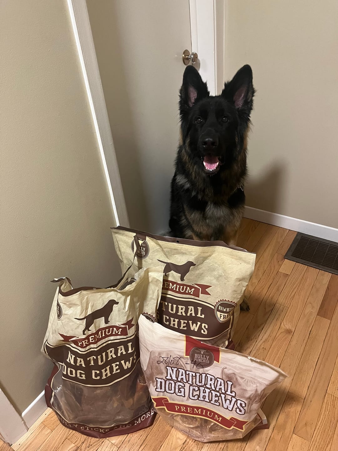 Customer photo review of 6 Inch Beef Trachea