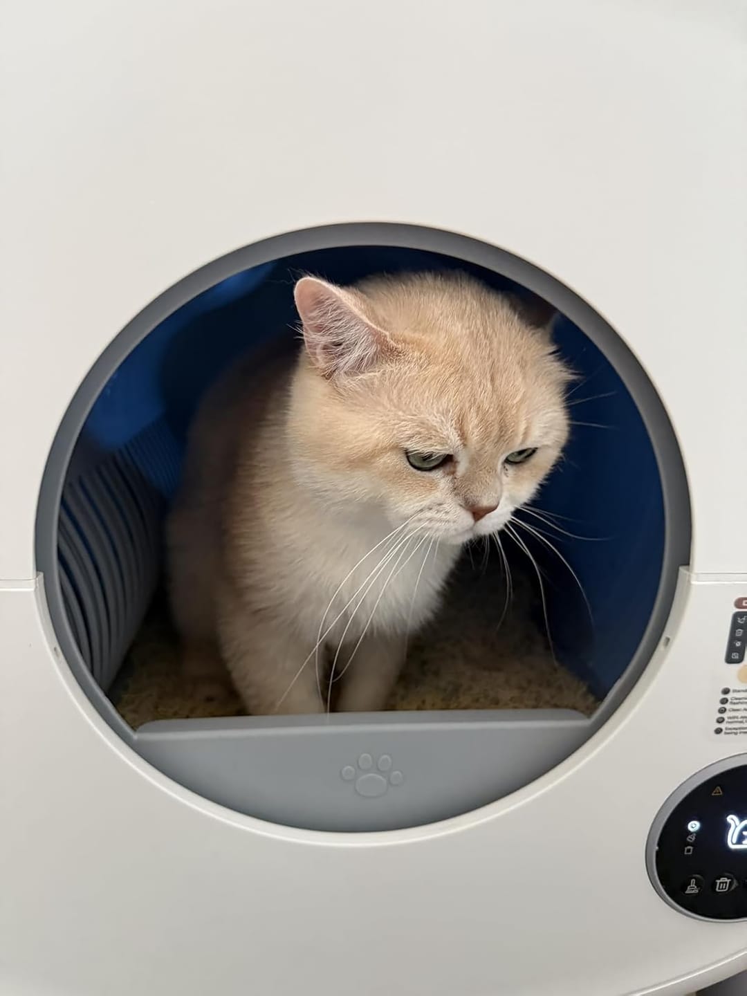 Customer photo review of Cumrige M2 Smart Self-Cleaning Litter Box | 95L Extra-Large Automatic Cat Litter Box