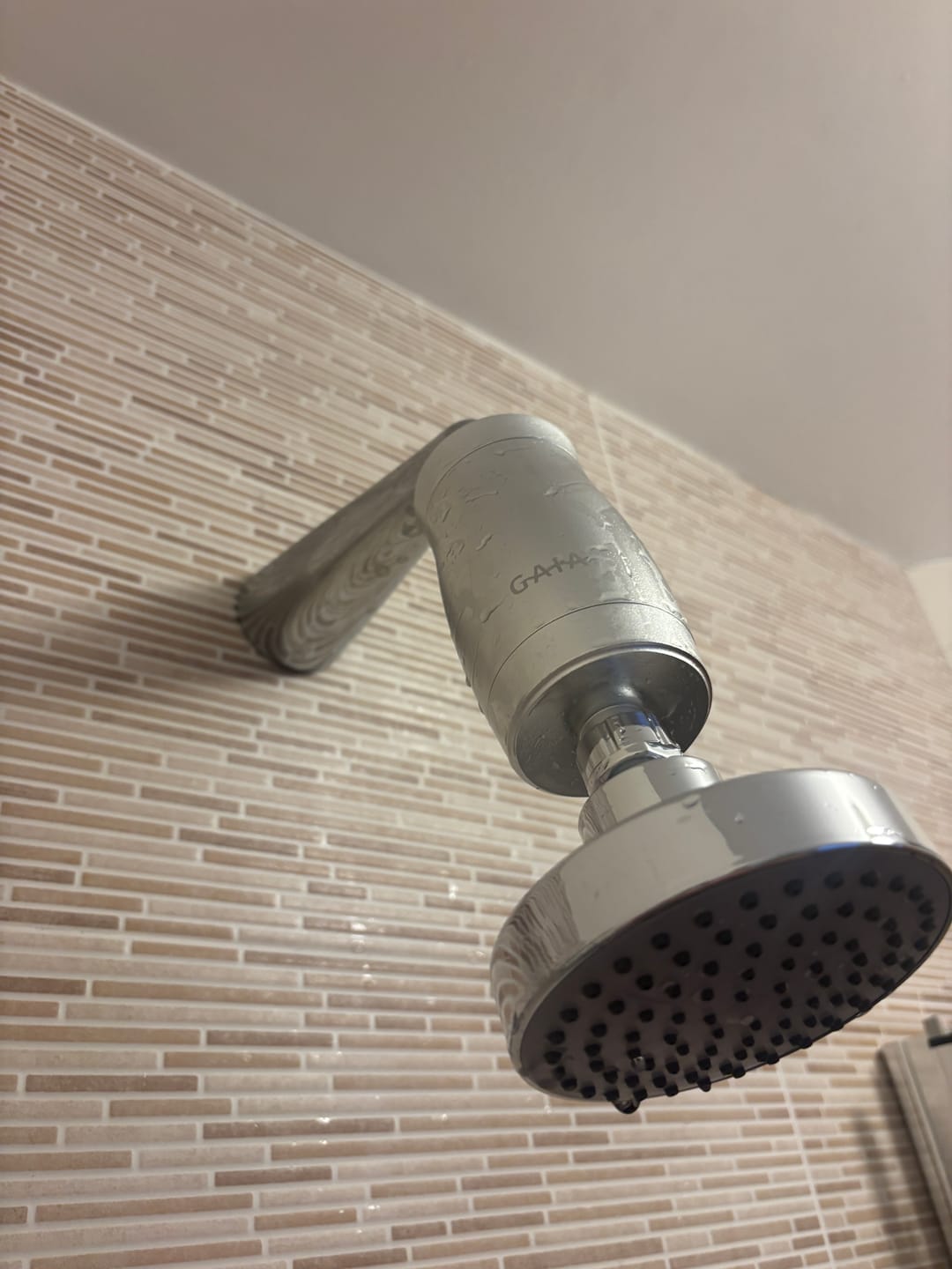Customer photo review of The Gaia Shower Filter