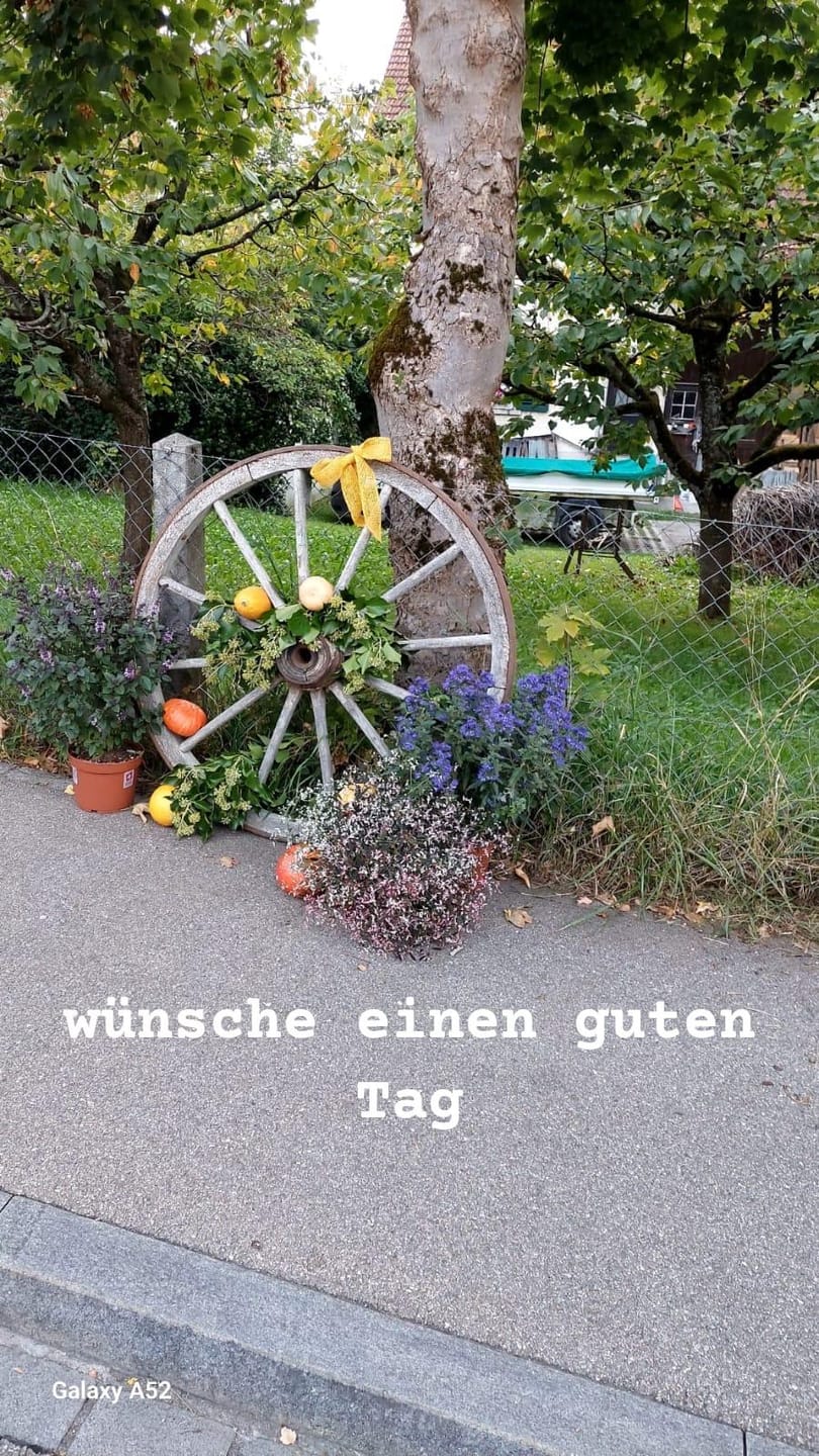 Customer photo review of Mini-Farbfotodrucker