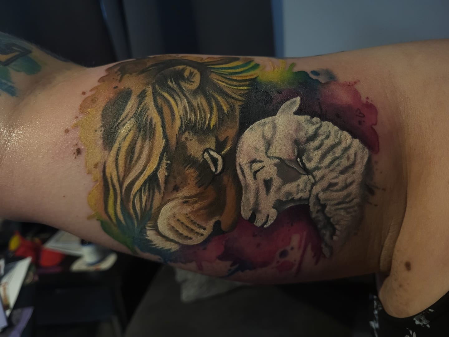 Customer photo review of Compassion of a King