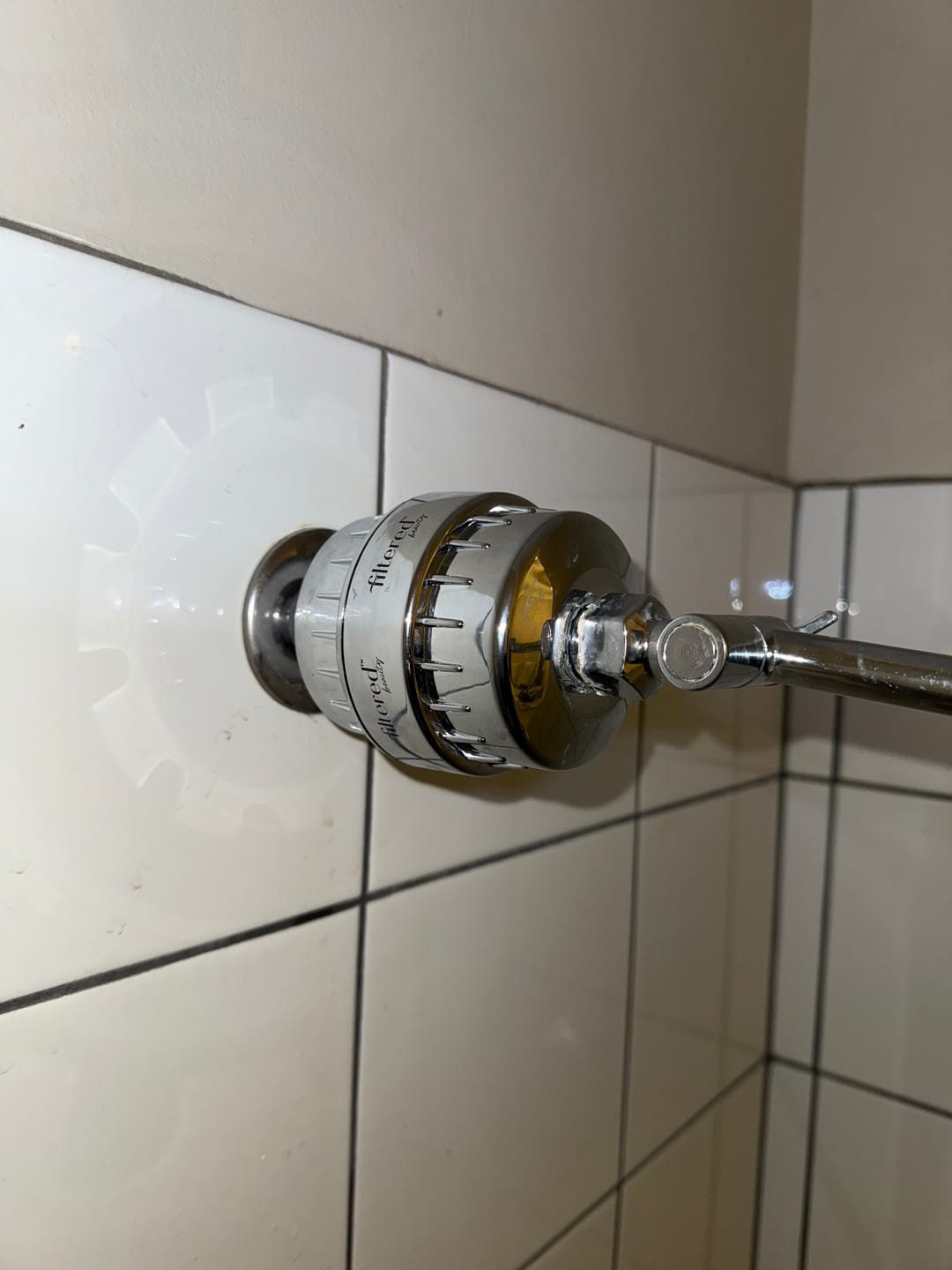 Customer photo review of Shower Purifier - Silver