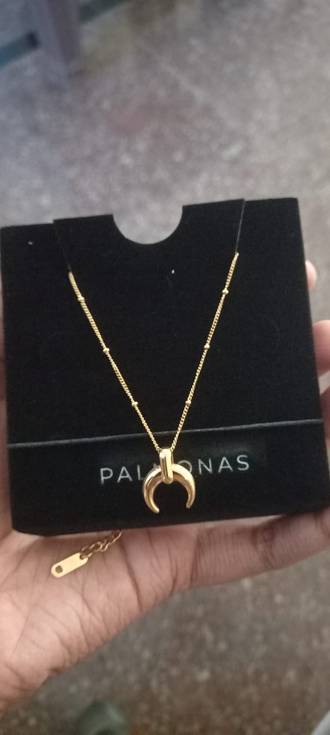 Customer photo review of Tiny Horn Necklace