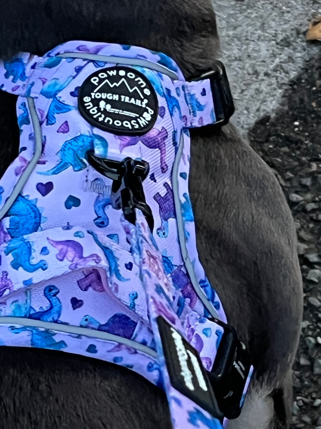 Customer photo review of Lead - Tiny Diny