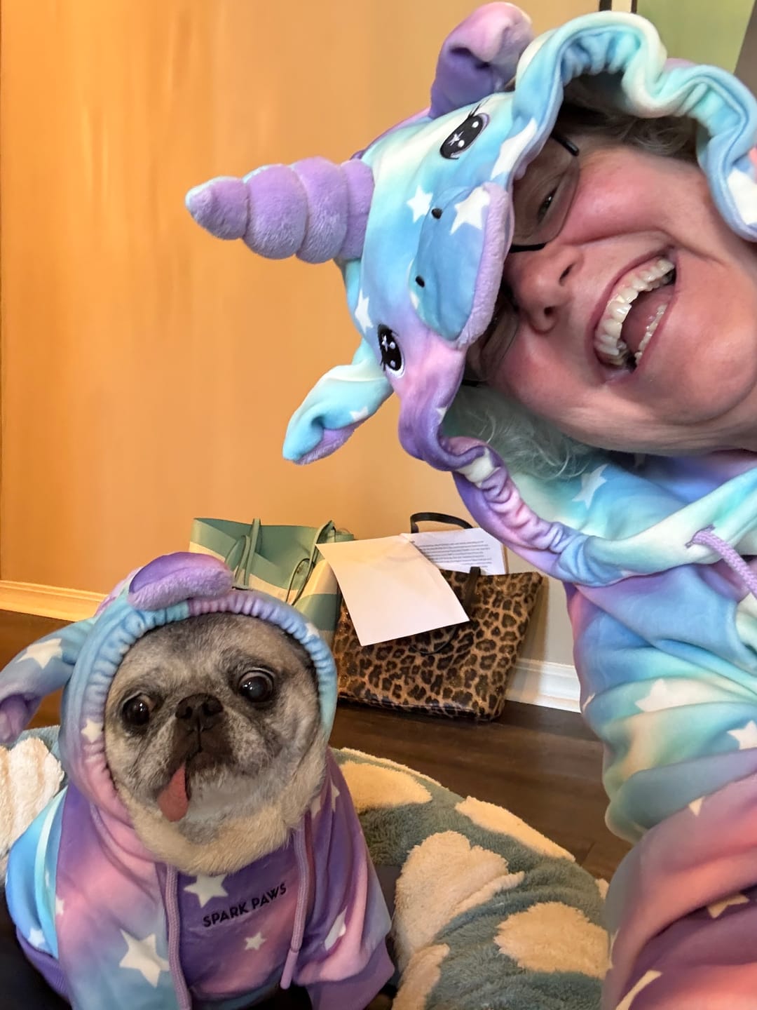 Customer photo review of Halloween Dog Hoodie - Unicorn