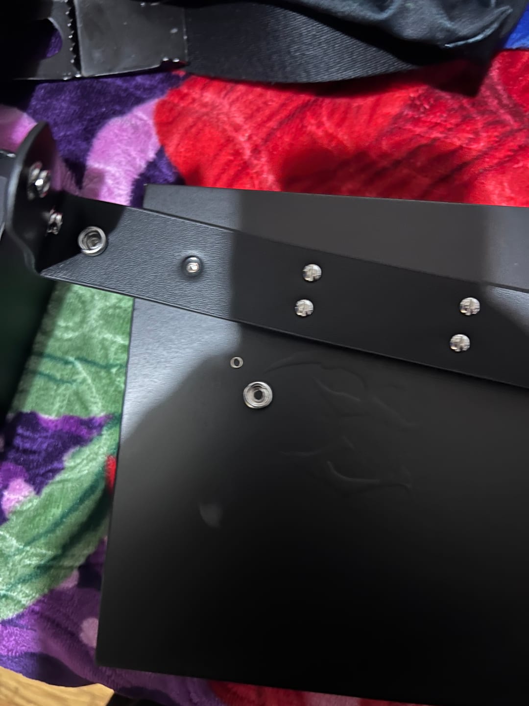 Customer photo review of DAISY THE DAYSTALKER BELT