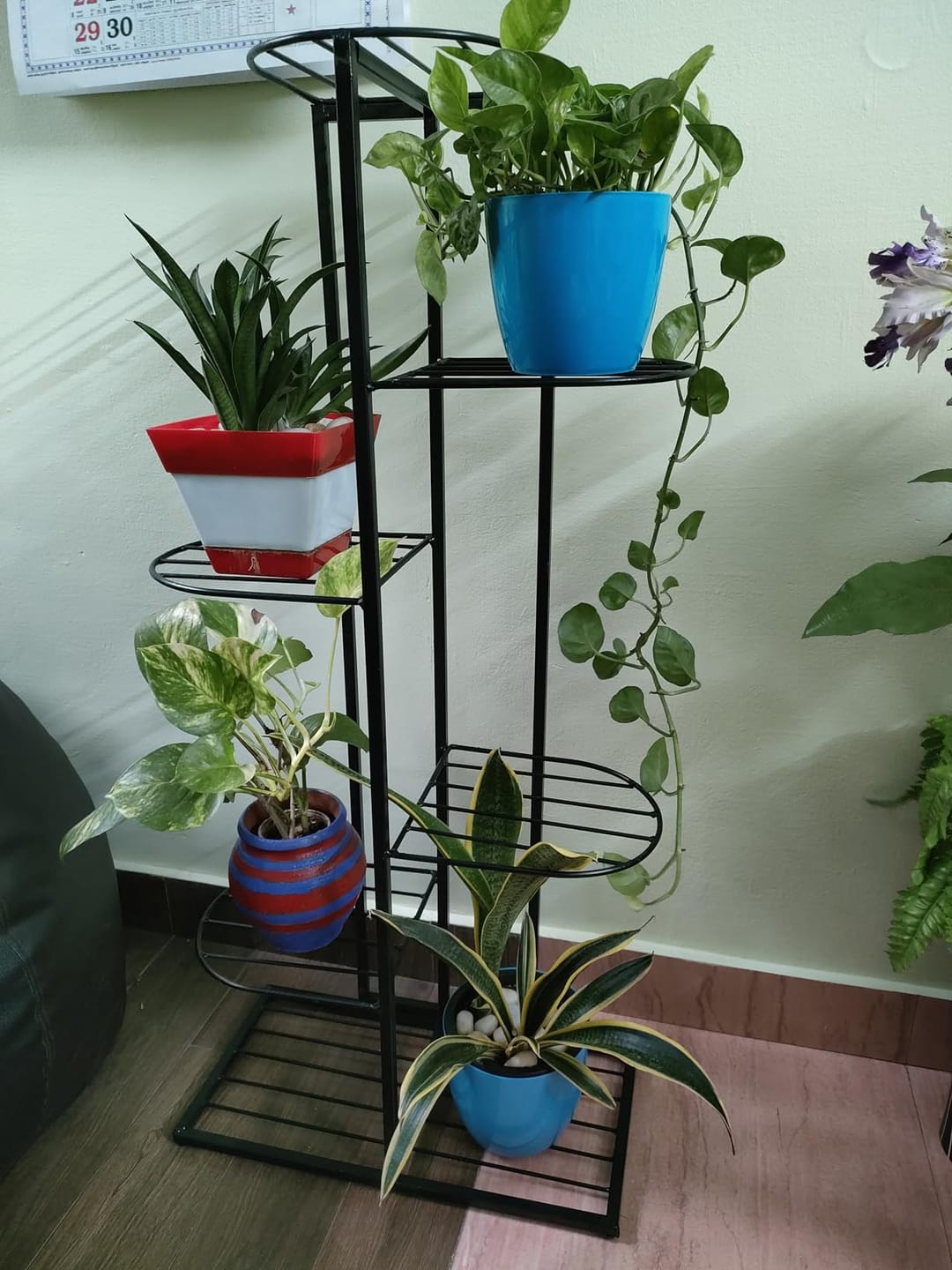 Customer photo review of 6-Tier Metal Plant Stand for 7 Pots – Indoor Outdoor Flower Shelf, Corner Planter Rack for Garden, Patio, Balcony & Living Room