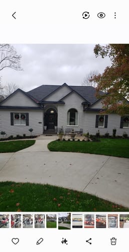 Customer photo review of GCI Turf Cool Blue Grass Seed