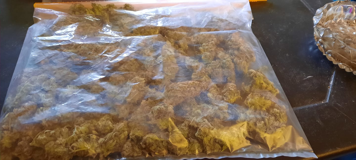 Customer photo review of Dry Ferm Bag (3er Set)