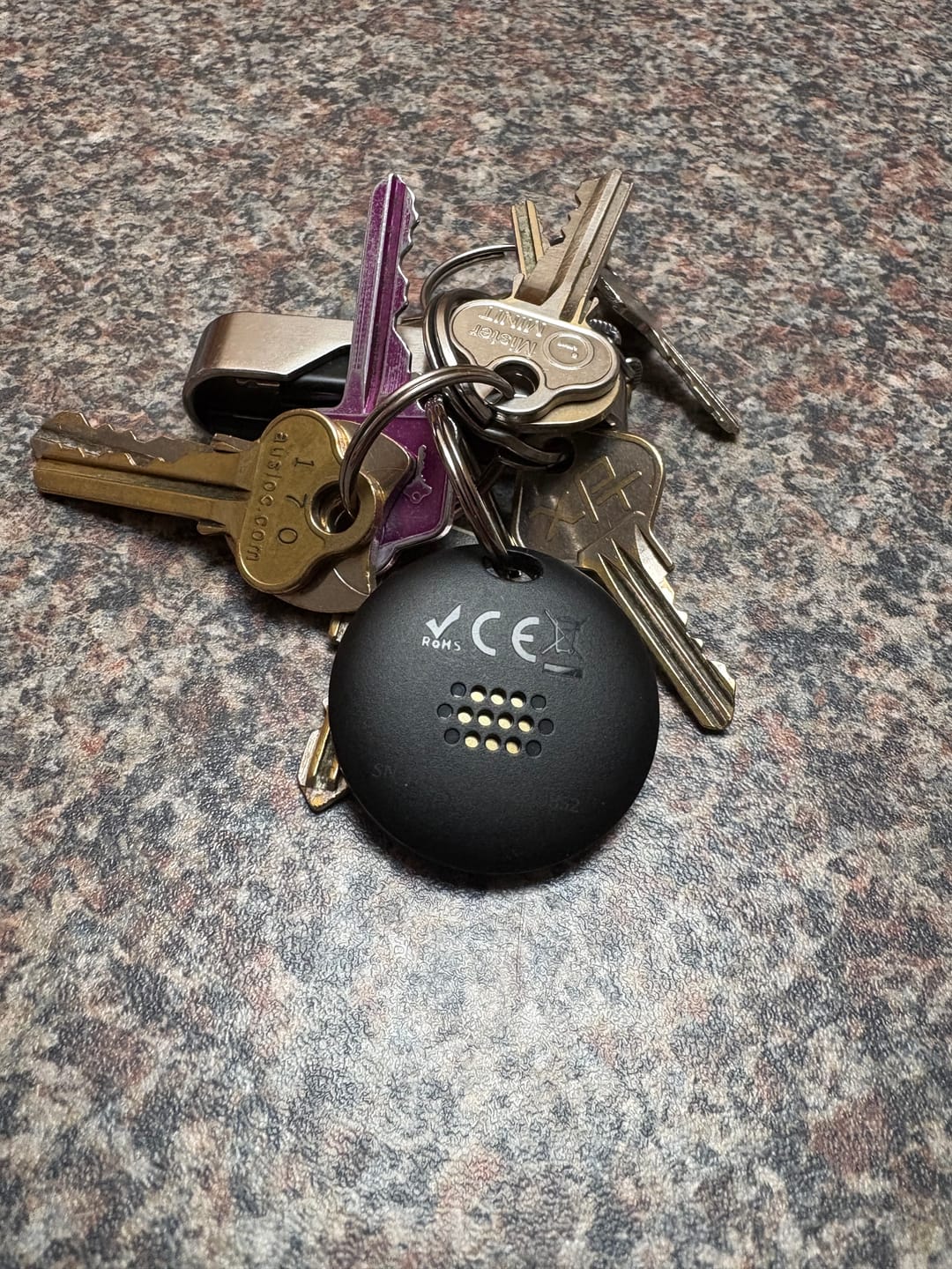 Customer photo review of SmartTag
