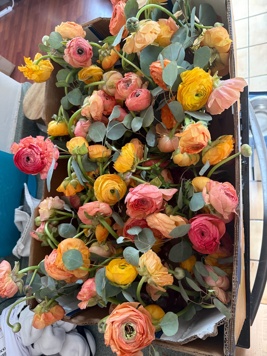 Customer photo review of Coral Peach Ranunculus