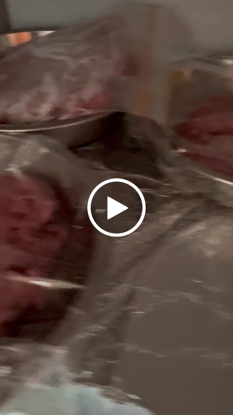 Customer video review of Turkey for Dogs