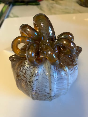 Customer photo review of Daily Pumpkin CatKin 18 Charles