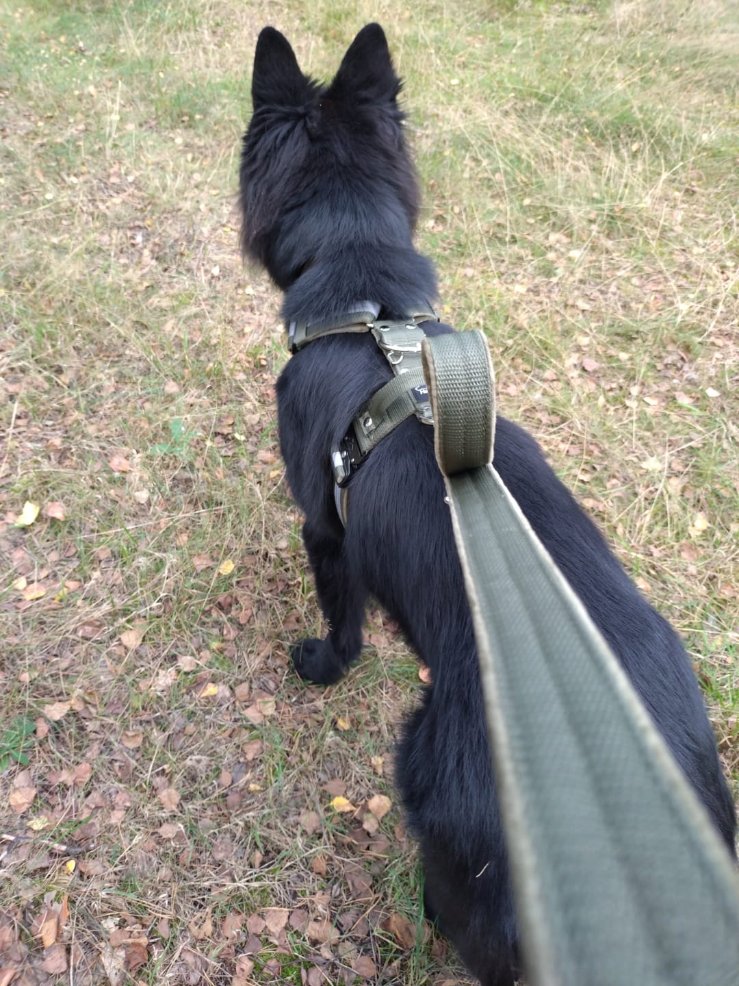 Customer photo review of Smycz przepinana z dodatkową raczką - Multi Guard Leash Khaki