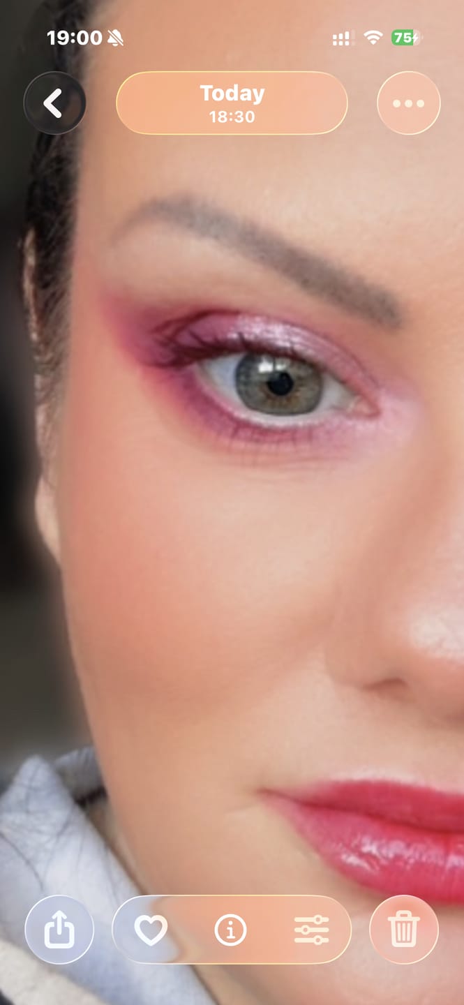 Customer photo review of P. Louise A Brand New Chapter Palette - Chapter One
