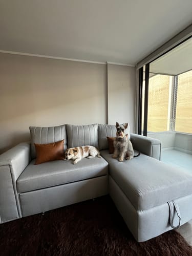 Customer photo review of Sofá cama Lyon Seccional