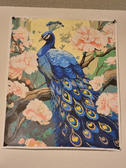 Customer photo review of Charming Peacock