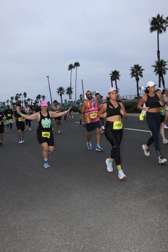 Customer photo review of 361-PHOENIX: Hydrangea/White