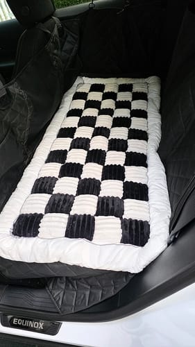 Customer photo review of Plush Backseat Dog Bed (Made For The Hard Bottom Car Seat Cover)
