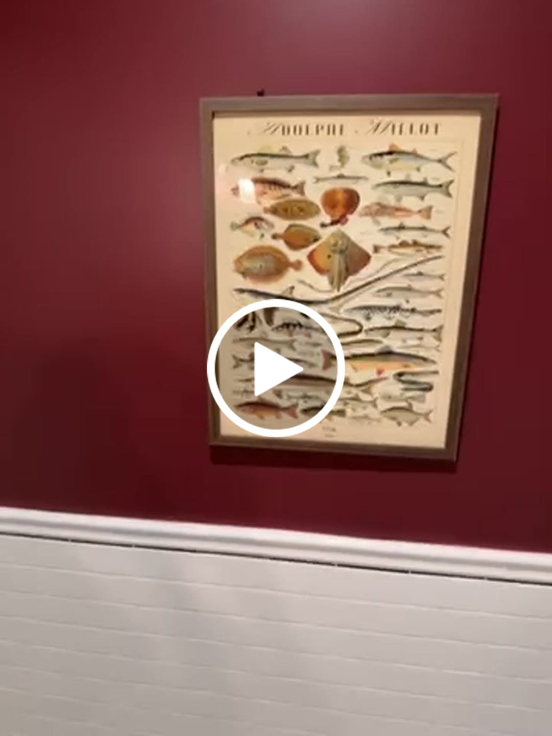 Customer video review of Fish by Adolphe Millot, 1890