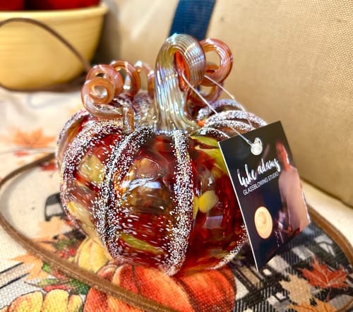 Customer photo review of Apple Cider Doughnut Squat Pumpkin