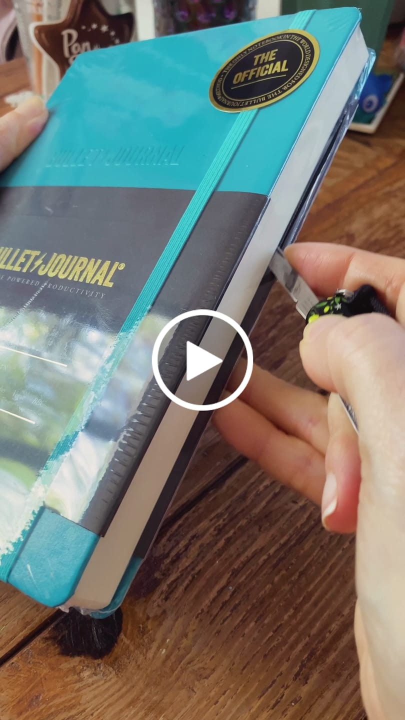 Customer video review of The Notebook