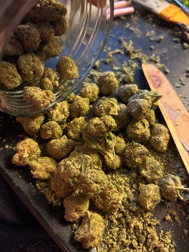 Customer photo review of Blueberry Pancakes Mediums - Bulk Mediums - Hybrid