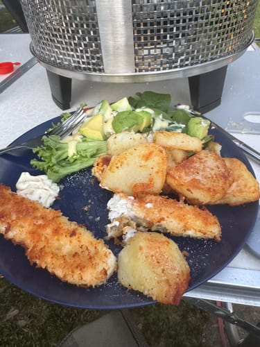 Customer photo review of COBB Grill Gas