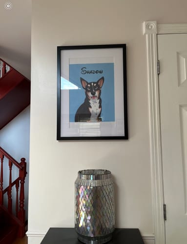 Customer photo review of Custom Hand-Drawn Cartoon Pet Portrait