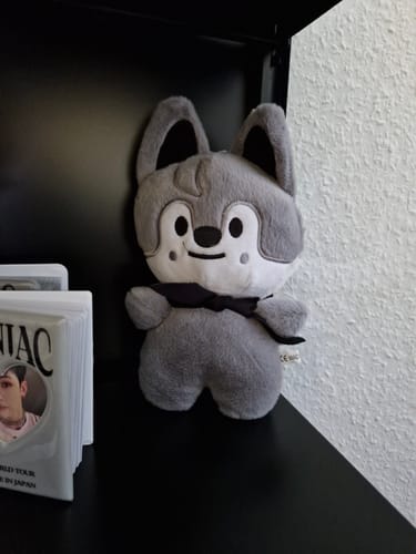 Customer photo review of Cute KPOP Plush Doll Toy