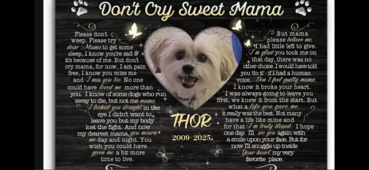 Customer photo review of Personalized Canvas Prints, Custom Photo, Sympathy Gifts, Dog Gifts, Memorial Gifts, Don't Cry Sweet Mama Dem Canvas
