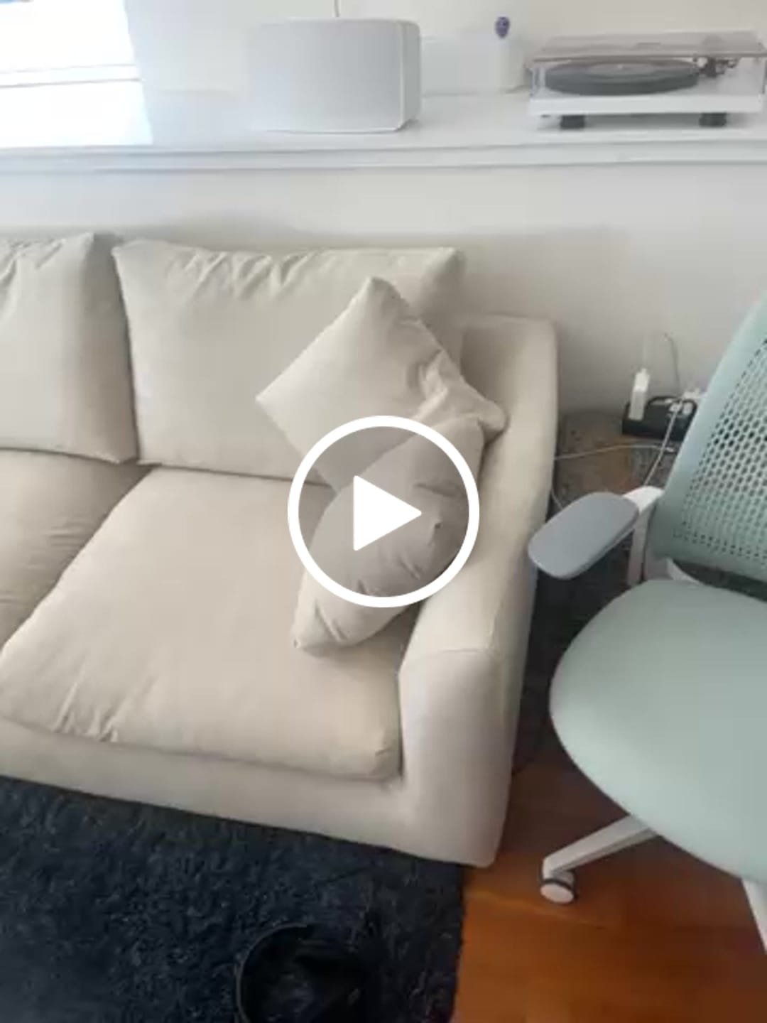 Customer video review of Feathers Sectional