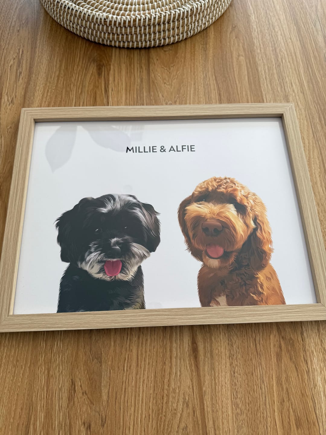 Customer photo review of 2 Pets