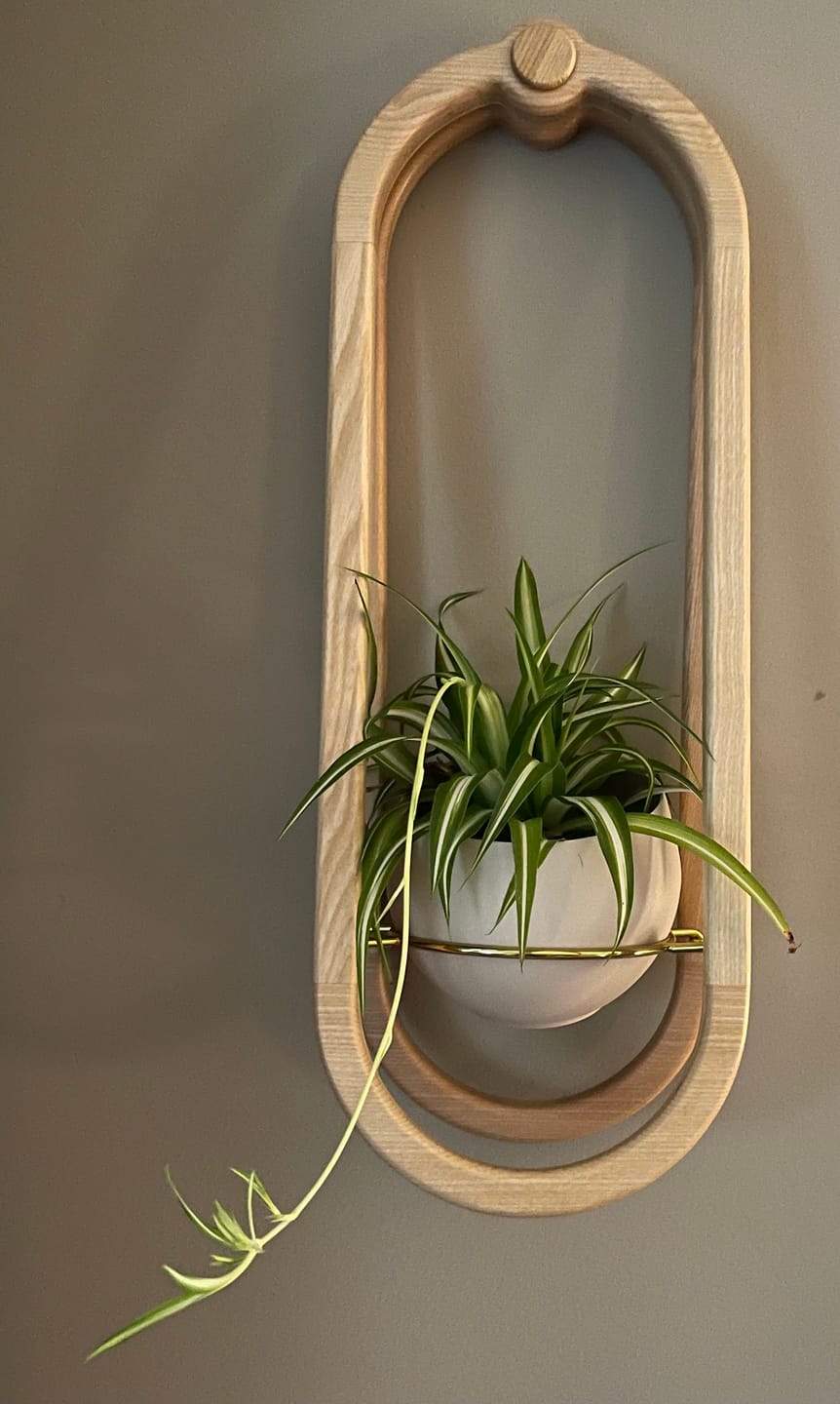 Customer photo review of Frame Wall Planter + Pot