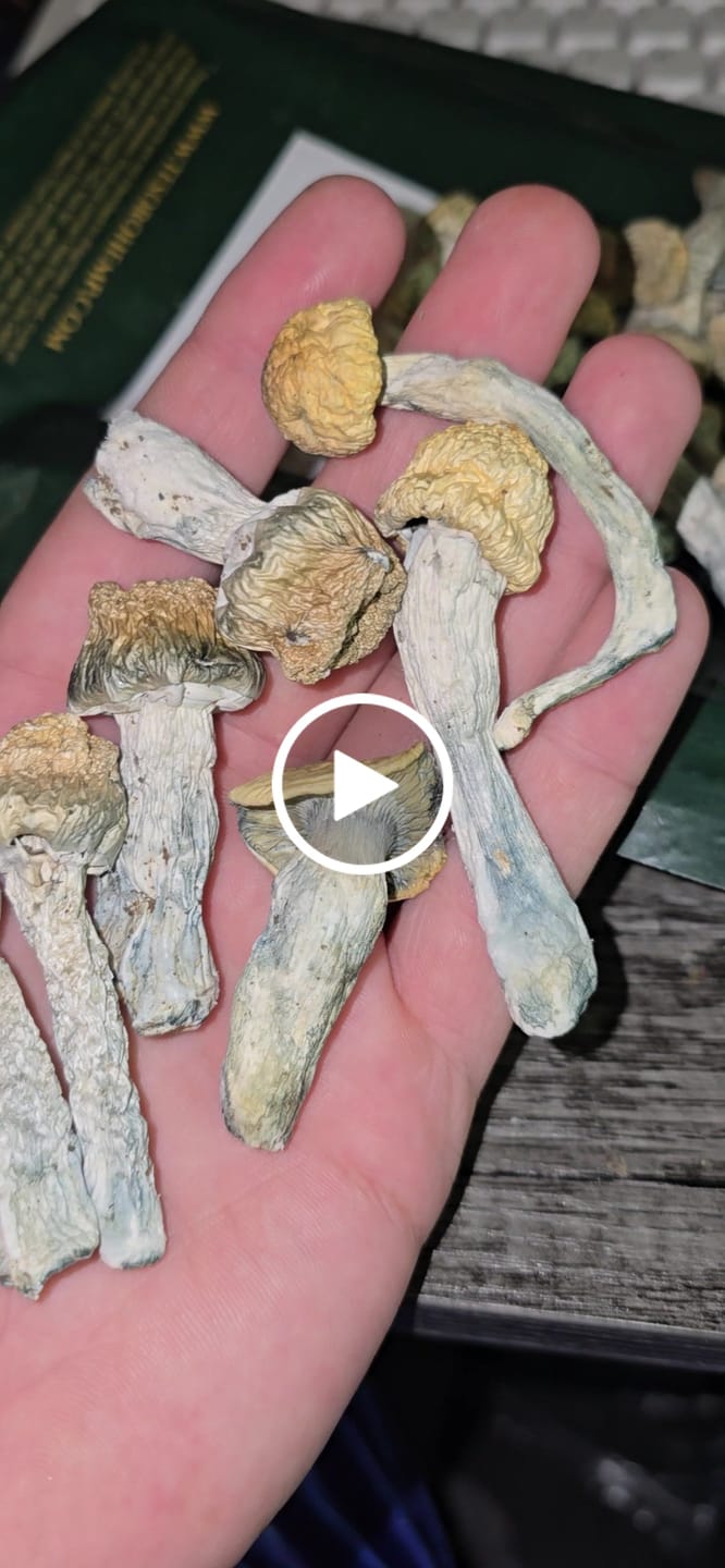 Customer video review of Non Detect Mushrooms