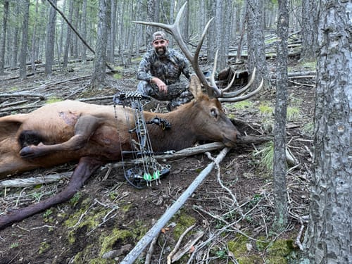 Customer photo review of Practice Tips