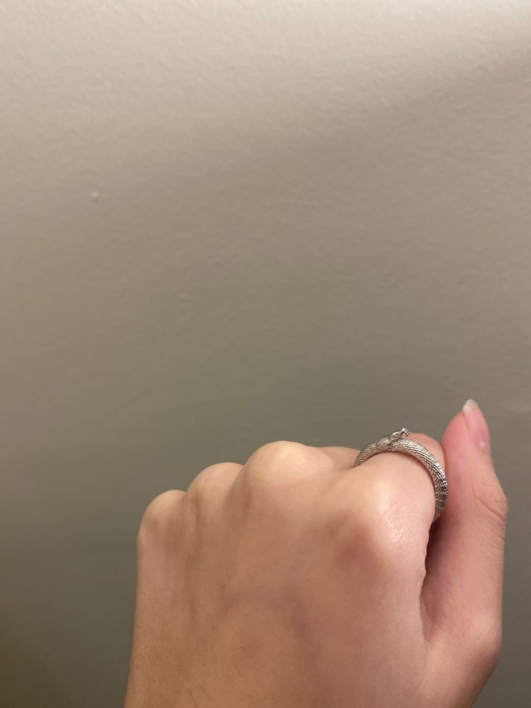 Customer photo review of OUROBOROS RING