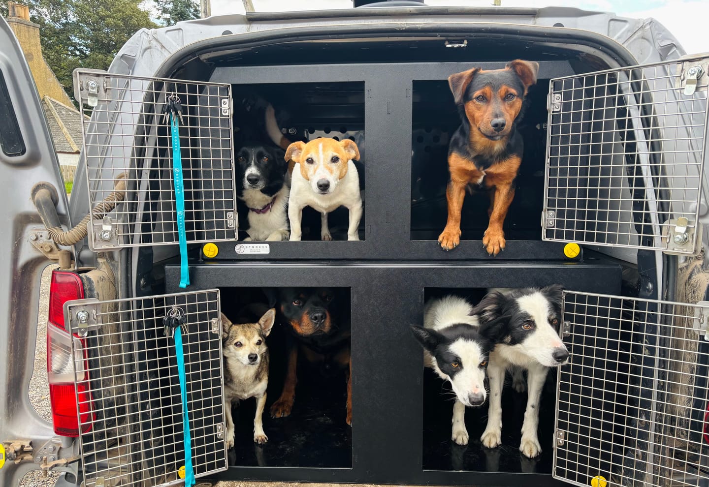 Customer photo review of Dog Van Kit | Vauxhall Combo | 2019-Present | Double stack | DT VS1