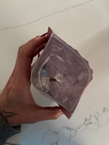 Customer photo review of Sprinkle Gummy Bears - 1LB