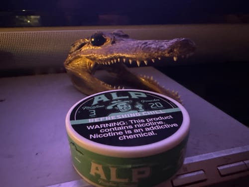 Customer photo review of Refreshing Chill Nicotine Pouches