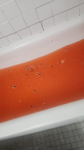 Customer photo review of Witch Bitch Autumn Bundle