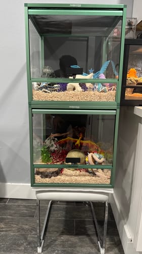 Customer photo review of 24 Gallon Reptile Enclosures 18x18x18" with Lock! Perfect for Beginner! Bottom NOT LEAKPROOF