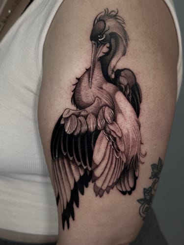 Customer photo review of Unknown Ink Photography Set 2.0