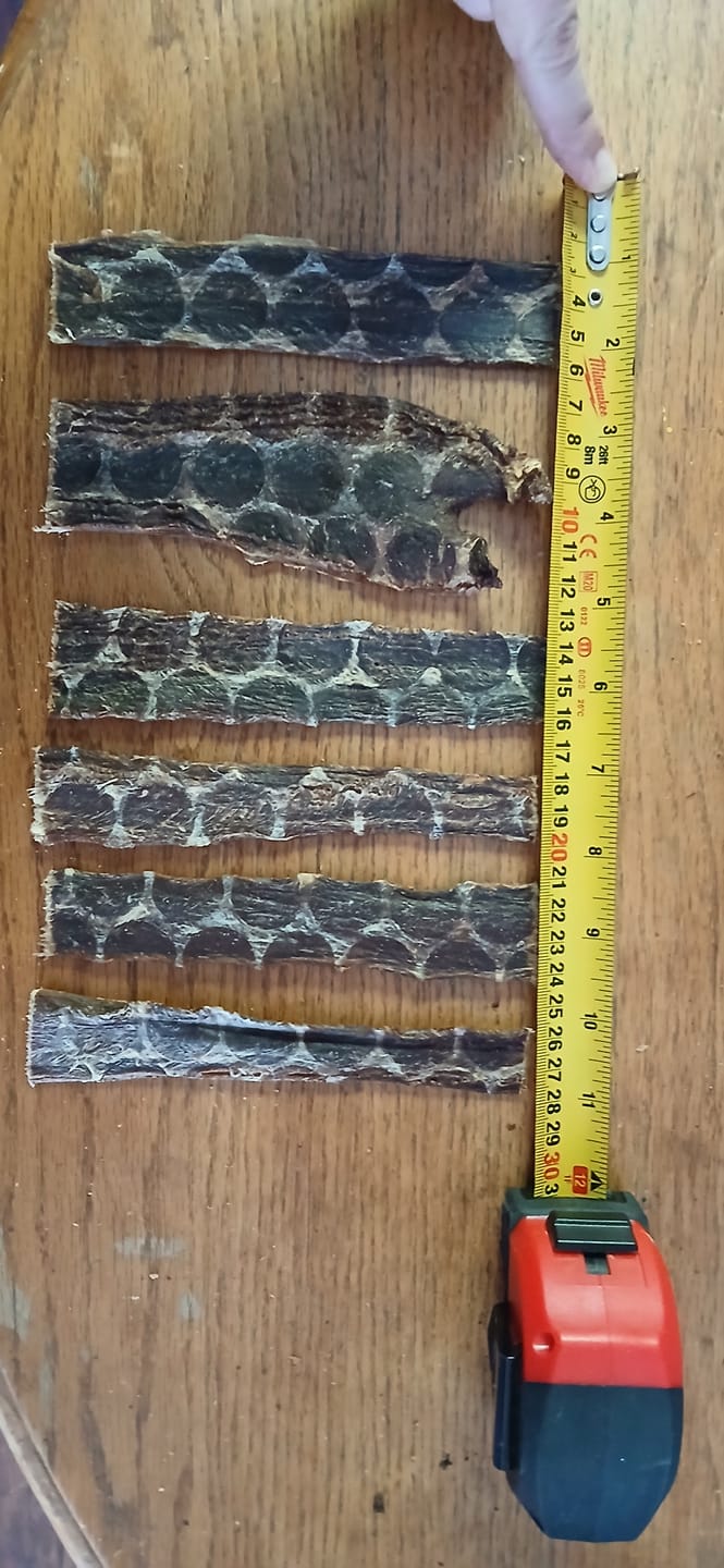Customer photo review of 6 Inch Beef Jerky Strip
