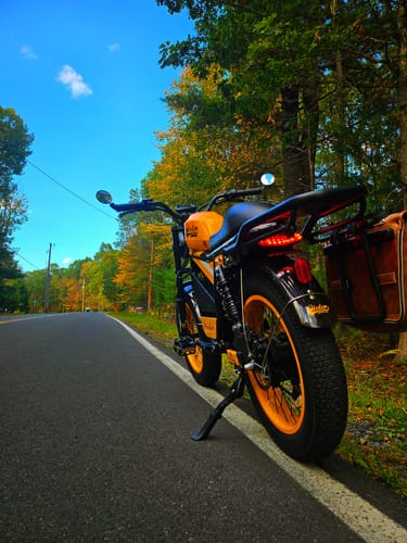 Customer photo review of TIGER RE